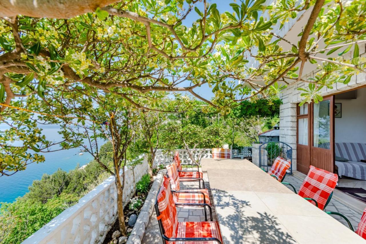 Villa Kosa 브렐라 객실 사진